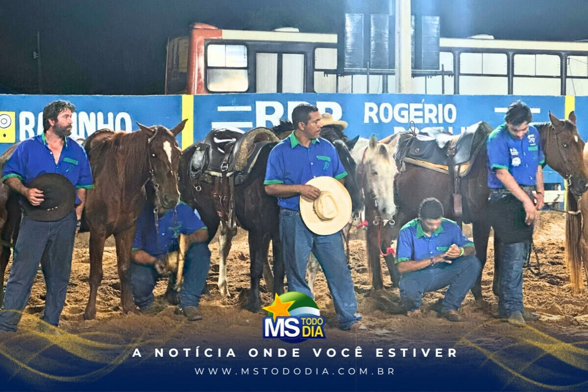 Imagem da Galeria